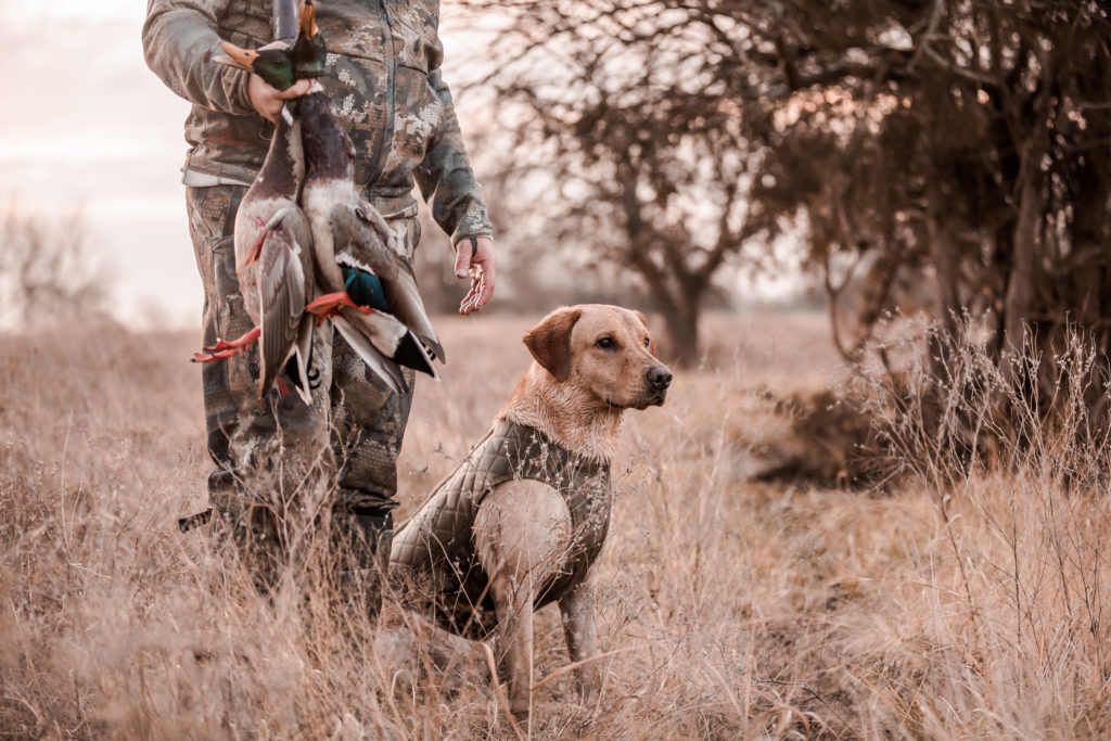 Kansas duck hunting is even better when you have a dog. 