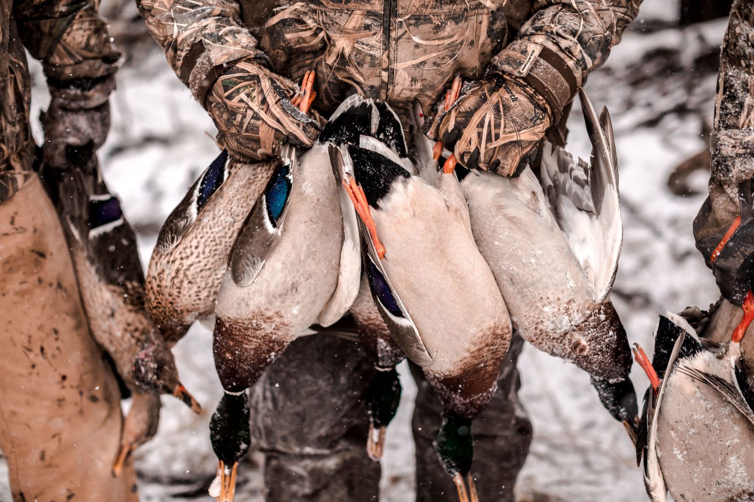 Season Flash Back 9 man Kansas duck limit