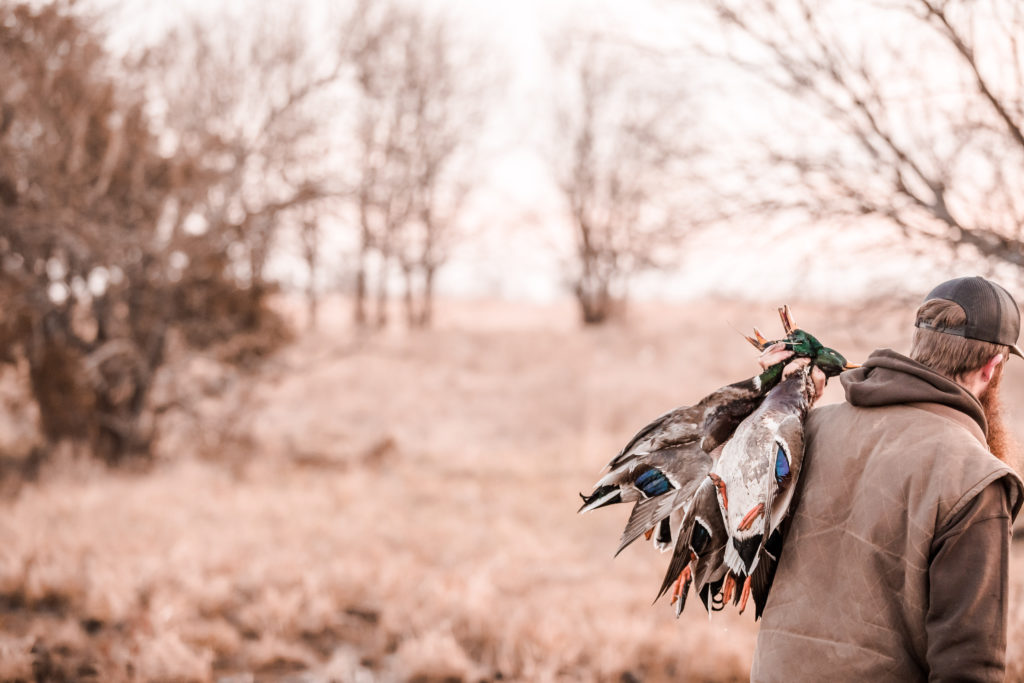 Fowl plains central Kansas duck hunting outfitter is successful with ducks.