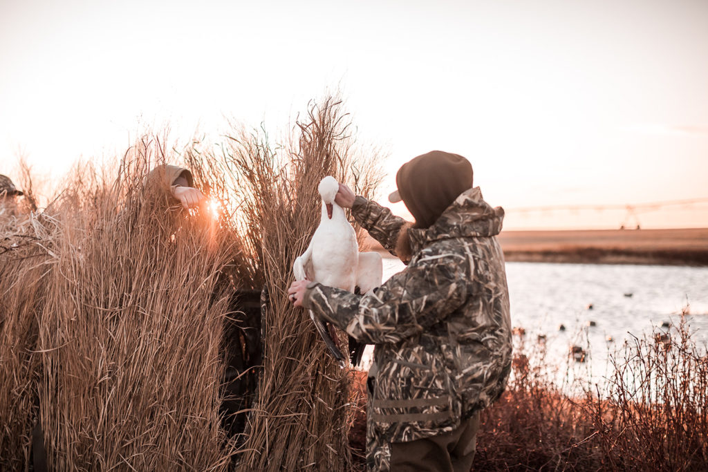 Hunting guide showing hunters a snow goose 