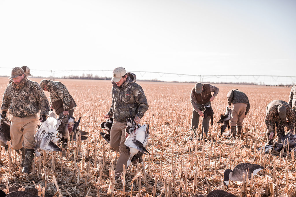 Hunters in Kansas cleaning up birds 