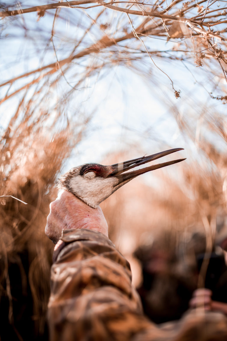 Our Season has come to a end Central Kansas Waterfowl